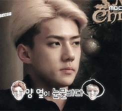 tumblr_my4wywkv7V1sh6590o6_r1_250_zps428