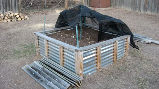 old raised bed