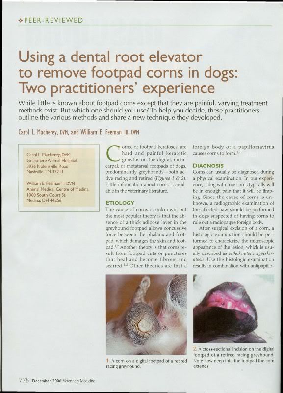 Corns Awesome Paws & Camp Greyhound