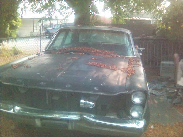 Groups » Ford owners, includes Mercury, Lincoln, Volvo, Mazda, Shelby, 