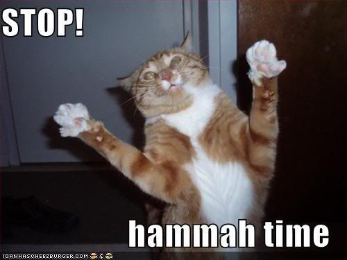 funny-pictures-mc-hammer-cat.jpg