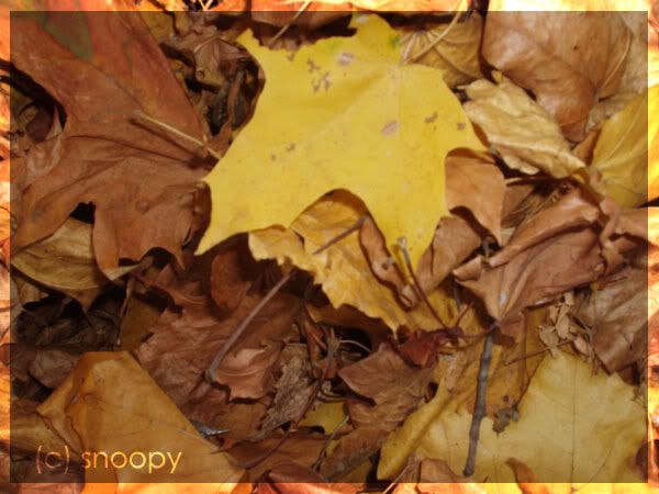 ���� �� ����... � ��� �� ������. Pictures, Images and Photos