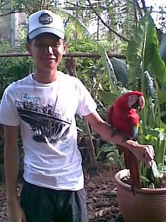 Photobucket