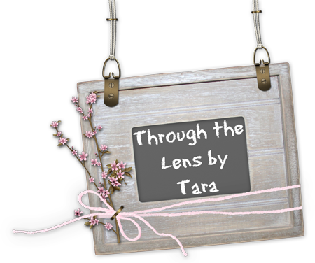 Through The Lens by Tara