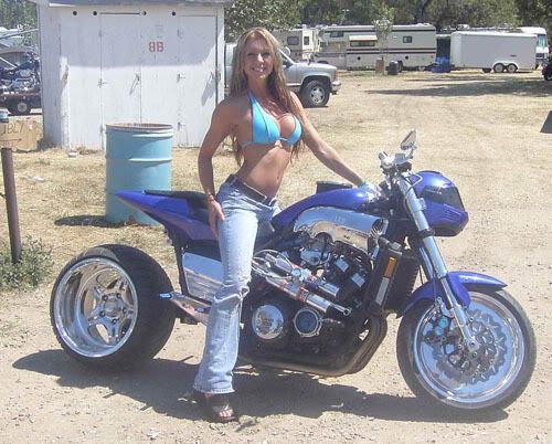 Blonde_520.jpg