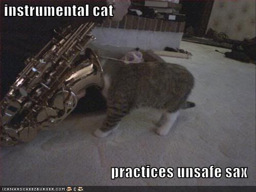 funny-pictures-cat-head-saxaphone.jpg