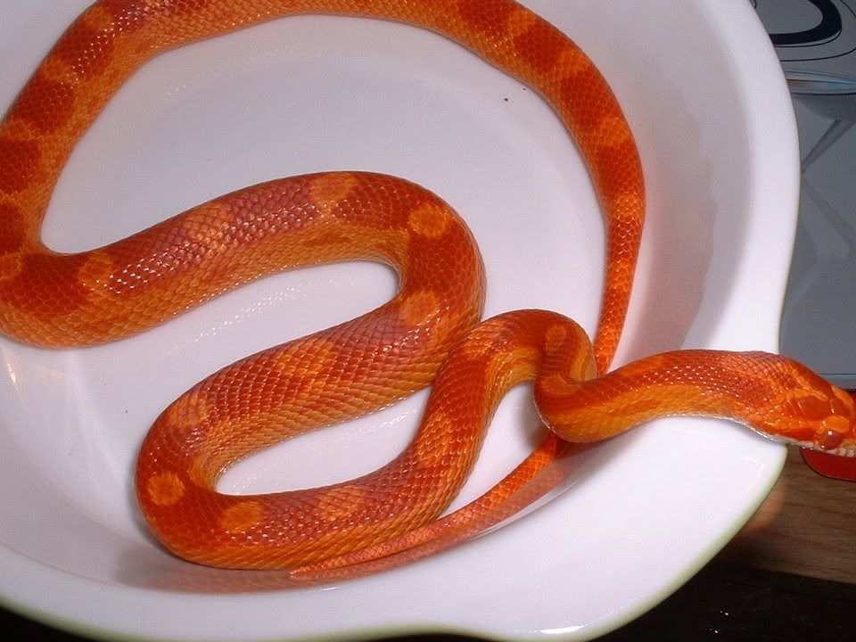 aae141b8.jpg