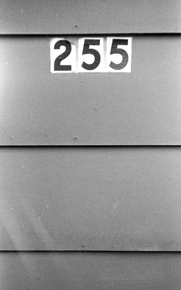 img334.jpg