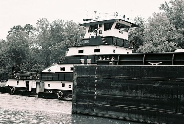 R1-10-1.jpg