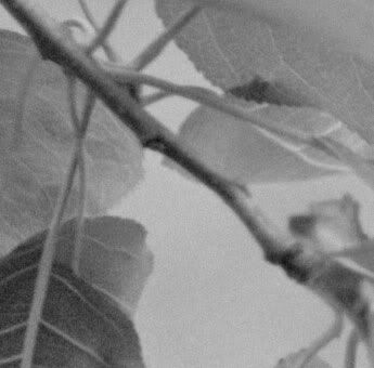 delta100a.jpg