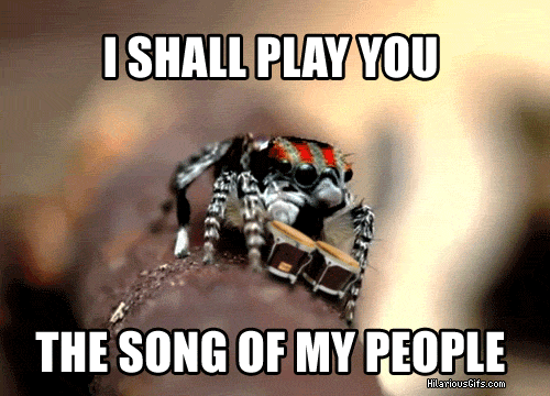 SpiderDrums.gif