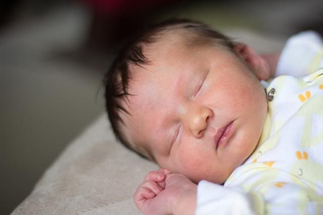 IMAGE: http://i20.photobucket.com/albums/b207/Pitter98/Laina/IMG_1691.jpg