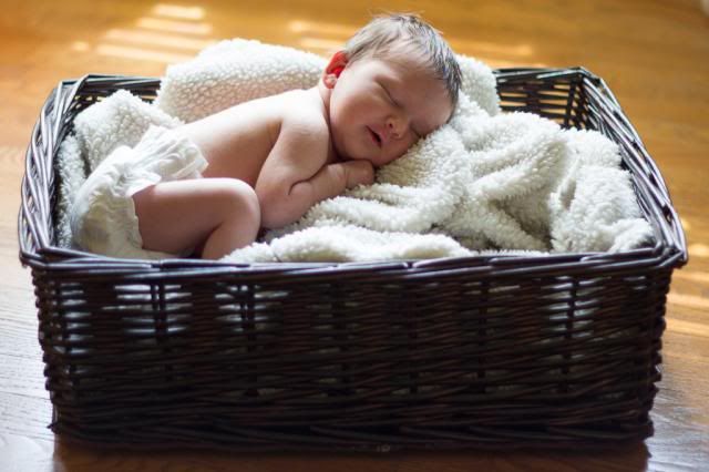 IMAGE: http://i20.photobucket.com/albums/b207/Pitter98/Laina/IMG_1732.jpg