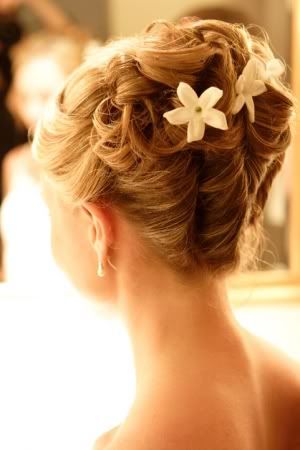 HAIR-updo6002.jpg?t=1237040341
