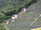 Machu Picchu Agriculture
