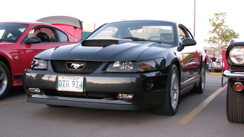 picture234.jpg
