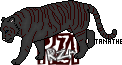 rzrtiger.png