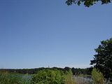 codpix005.jpg image by BABYGRATER