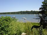 codpix006.jpg image by BABYGRATER