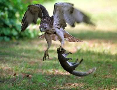 Image hosting by Photobucket