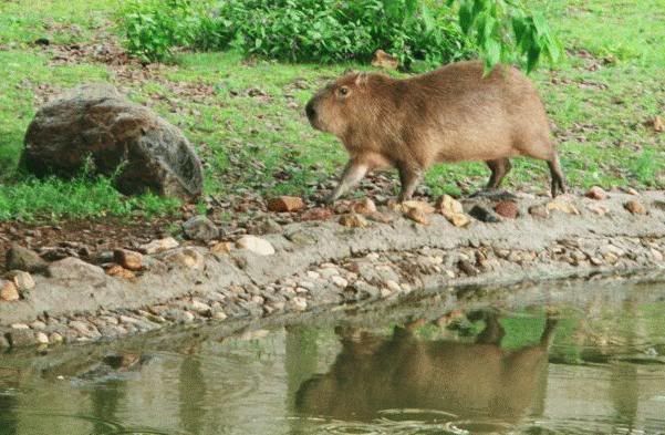 Image hosting by Photobucket