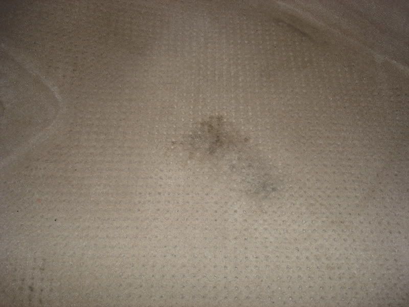DSC00419.jpg