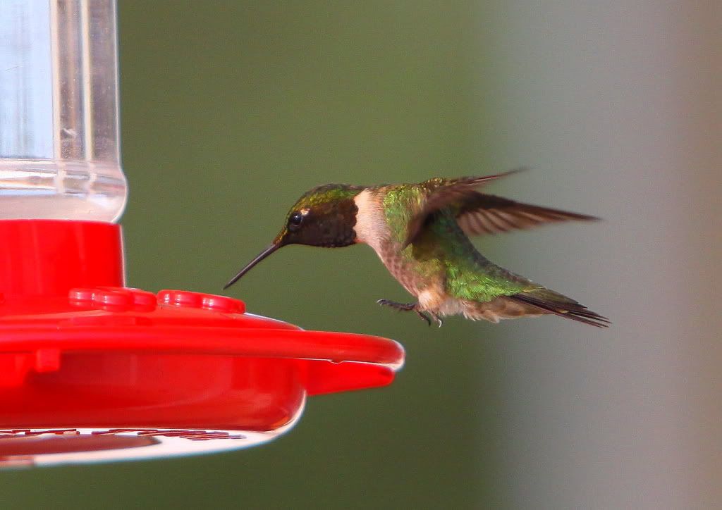 IMAGE: http://i20.photobucket.com/albums/b210/airmotive/IMG_5249.jpg