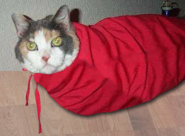 th_cat-in-bag.gif