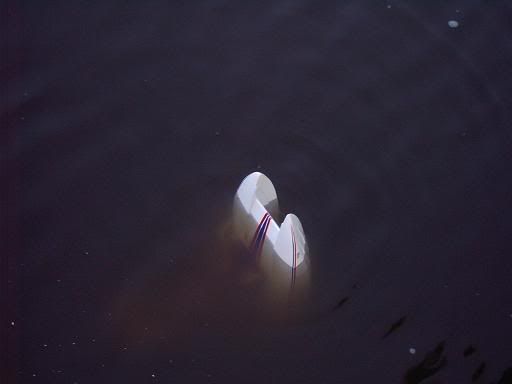 IMAG0299.jpg