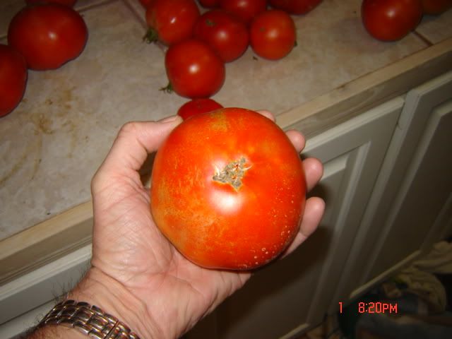DSC00670.jpg