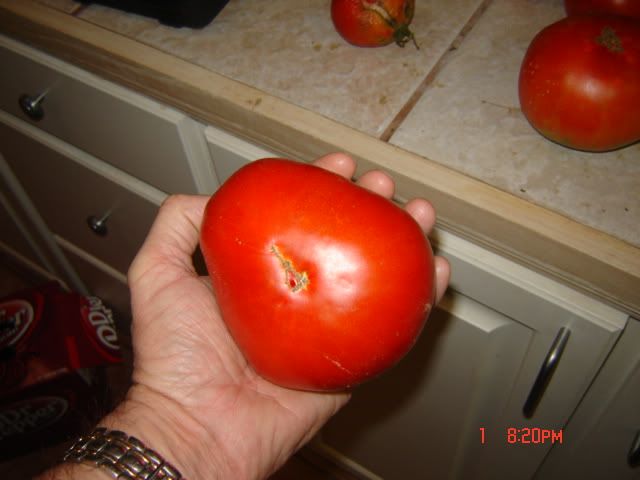 DSC00671.jpg
