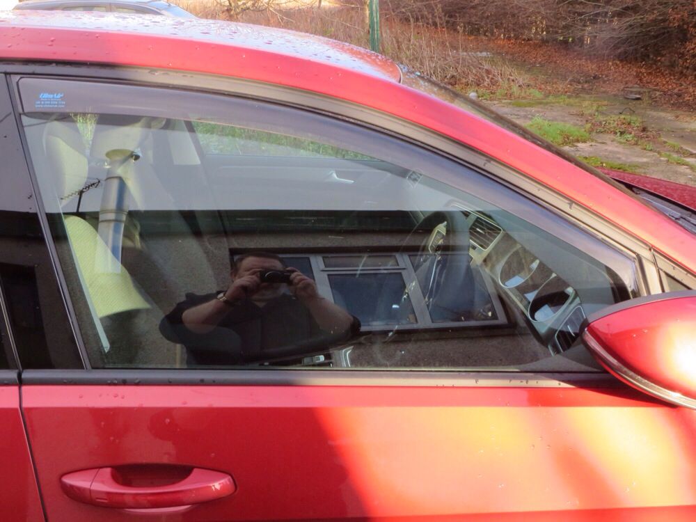 ClimAir wind deflectors GOLFMK7 VW GTI MKVII Forum / VW Golf R