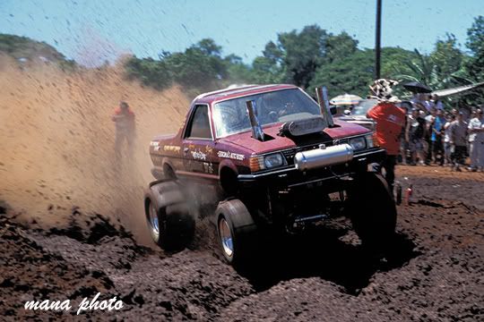 MudBog.jpg