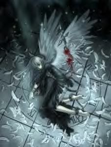 fallen anime angel Pictures, Images and Photos