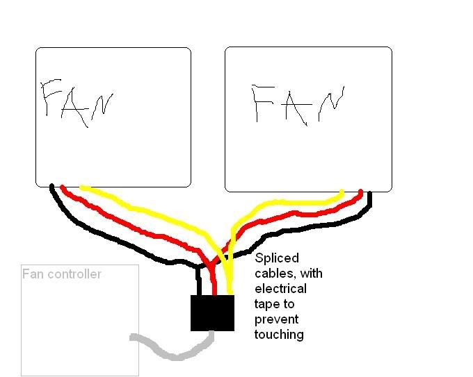 fans.jpg