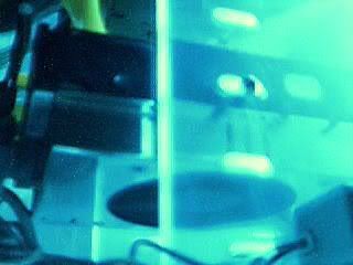 Picture13.jpg