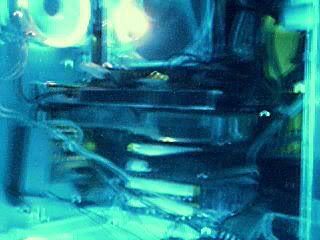 Picture7.jpg