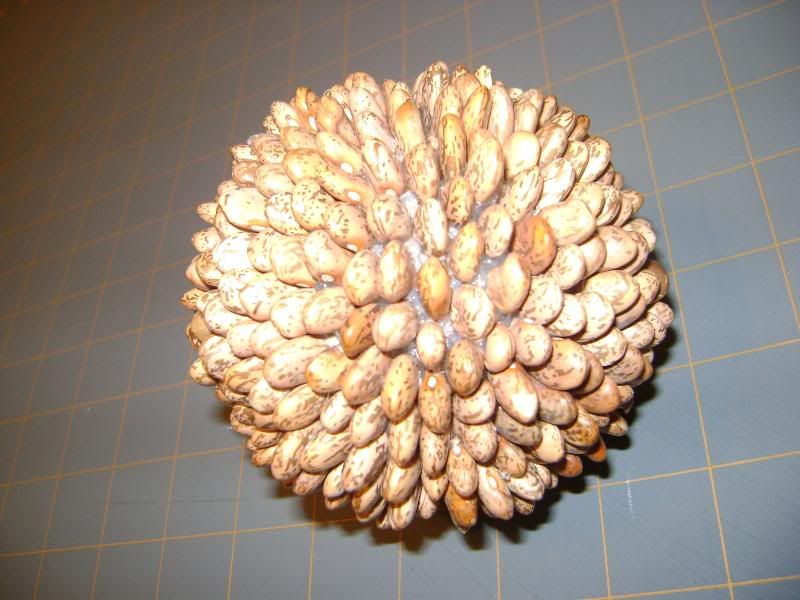 making a bean ball seed ball 4