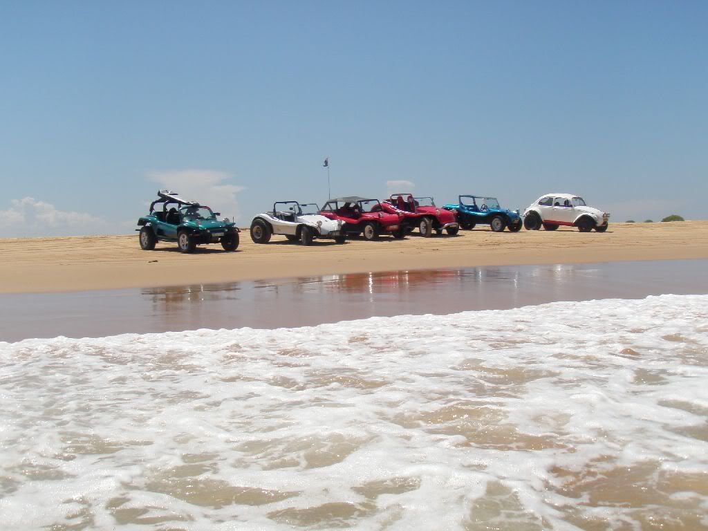 http://i20.photobucket.com/albums/b213/toddy4281/Buggy%202011/P1021394.jpg
