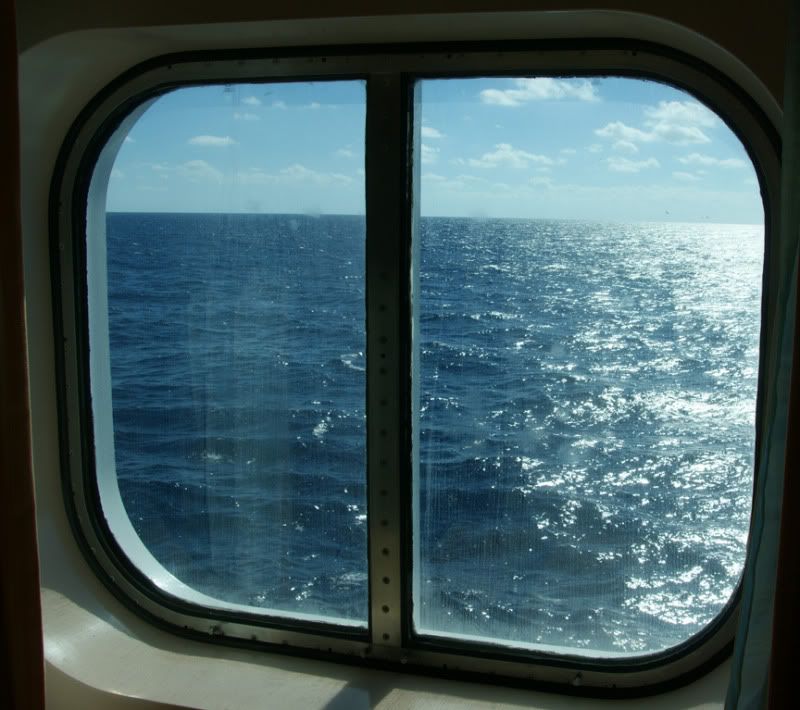 cruise window