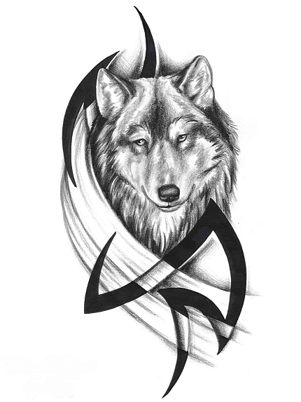 Tribal Wolf Tattoo Pic