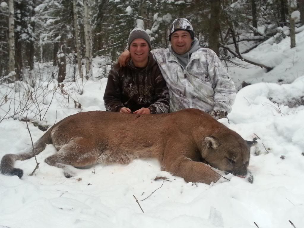 Alberta, Canada &amp; Wyoming Big Cats, March 2013 | GON Forum