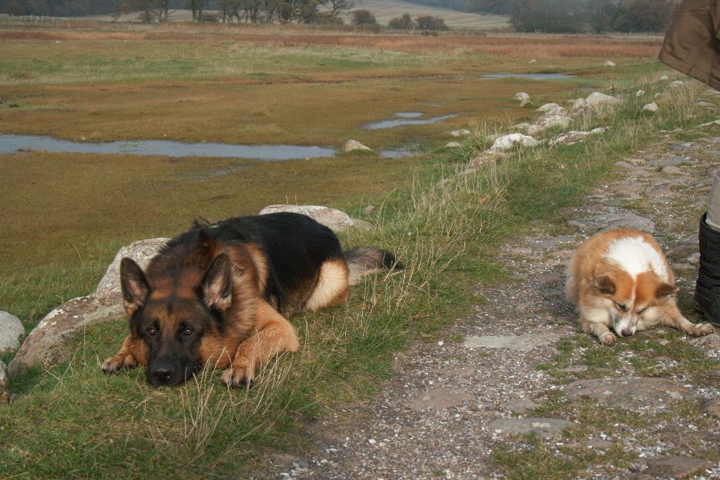Kaloslashvig31-10-20121751024x683.jpg
