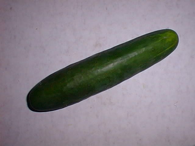 cucumber Pictures, Images and Photos