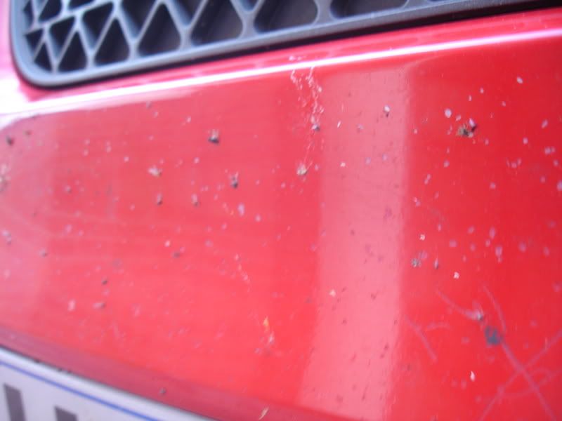 DSC04166.jpg