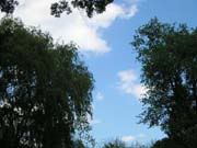 Image hosted by Photobucket.com