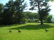 Image hosted by Photobucket.com