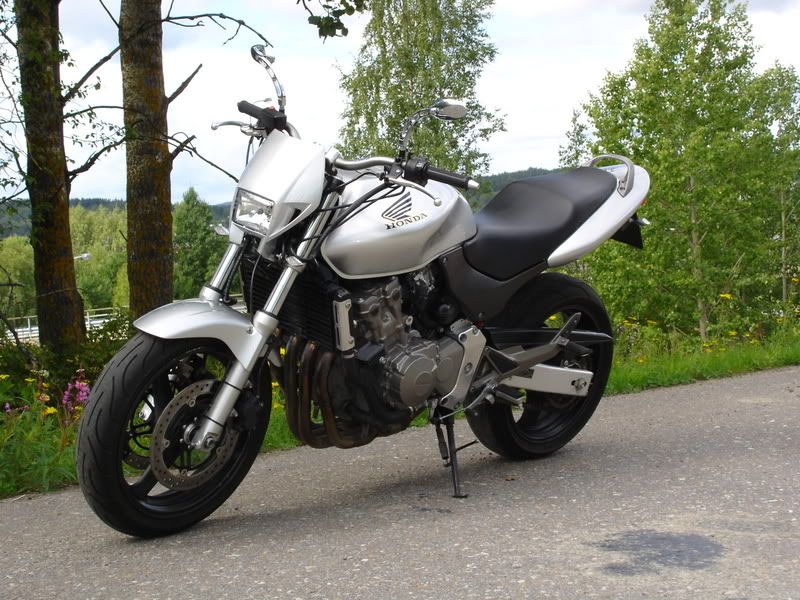 hornet005.jpg