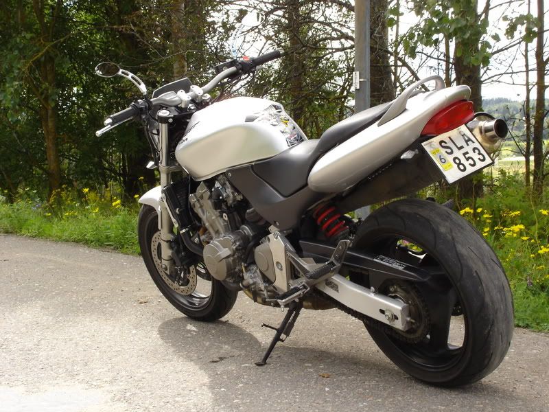 hornet006.jpg