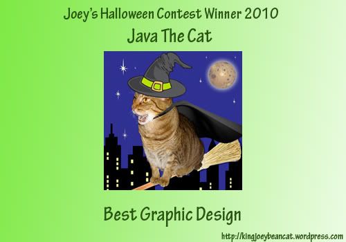 Java Winner